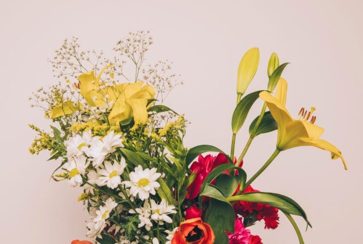 Post format video blogs